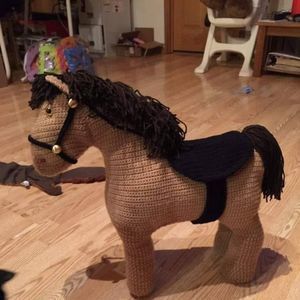 Meet your Posher, Cathy henrichs